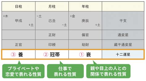 四長生|四柱推命の十二運星「長生」の意味とは？性格・適職・恋愛を解説